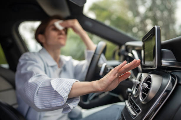 Best Affordable air conditioning repair  in Shorewood Forest, IN